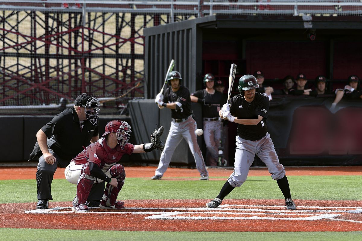 Lions catcher sets up behind the plate